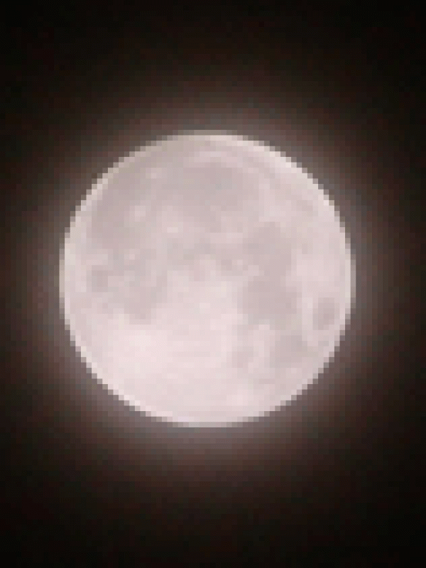 เพลง ดอกไม้งามในคืนเดือนเพ็ญ 花好月圆夜